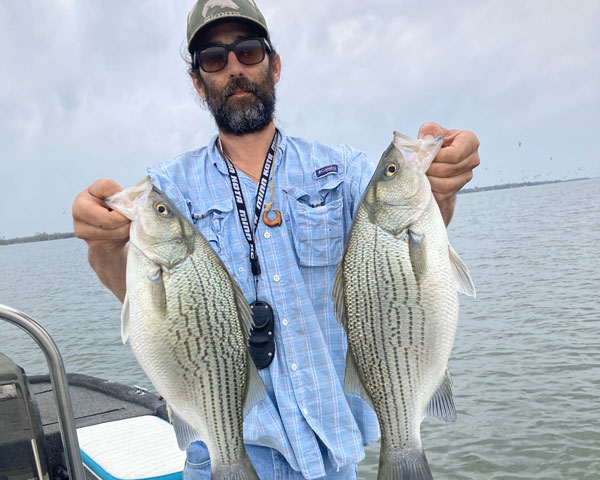 Lake Tawakoni Fishing Guide holding striped bass – Bingham Guide Service Texas
