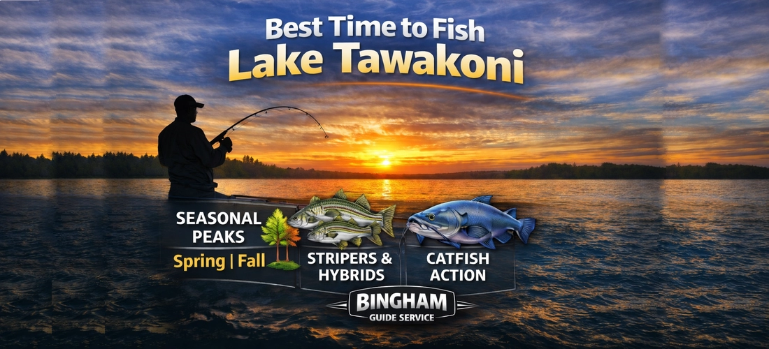 Best Time to Fish Lake Tawakoni infographic showing seasonal peaks for striped bass, hybrids, and catfish