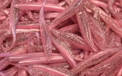 Deadsticking for Striper on Lake Tawakoni