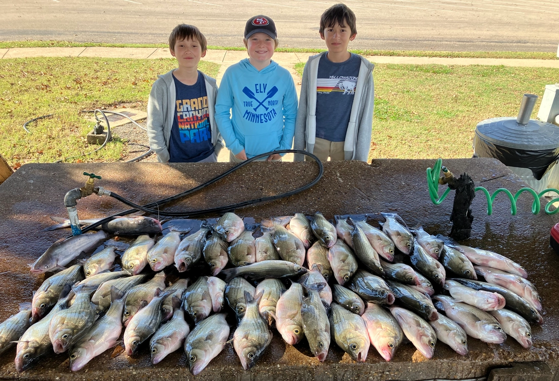 Kids holding Lake Tawakoni white bass catch with Bingham Guide Service