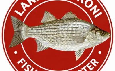 Lake Tawakoni Fishing Charter: What to Expect on a Guided Trip