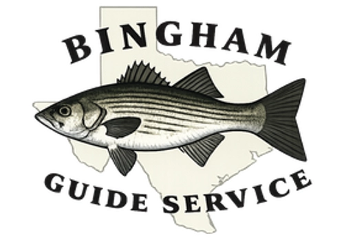 Bingham Guide Service Logo with a Striped Bass
