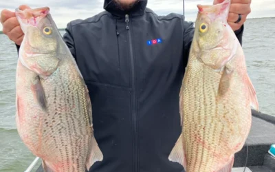Current Lake Tawakoni Fishing Report – March 2026