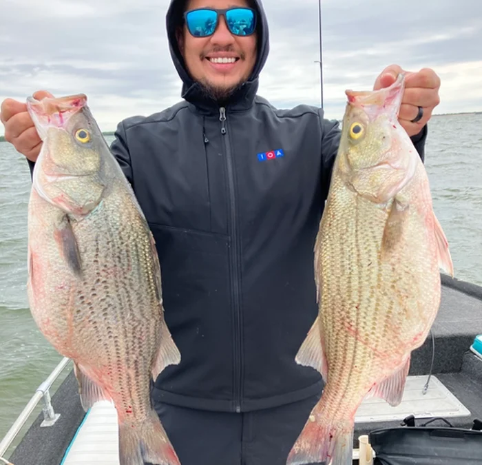 Current Lake Tawakoni Fishing Report – March 2026