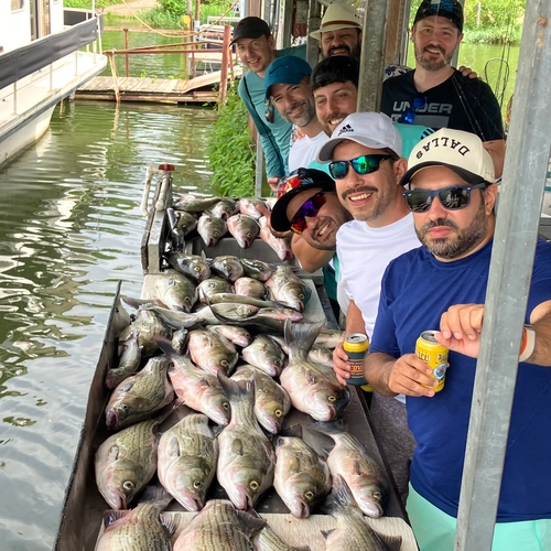 Lake Tawakoni striped bass fishing trip catch with Bingham Guide Service near Wills Point Texas