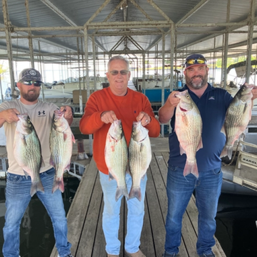 Group of anglers with multiple hybrid striped bass on Lake Tawakoni