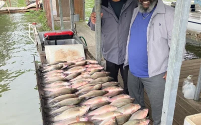 Lake Tawakoni Fishing Report May 2026
