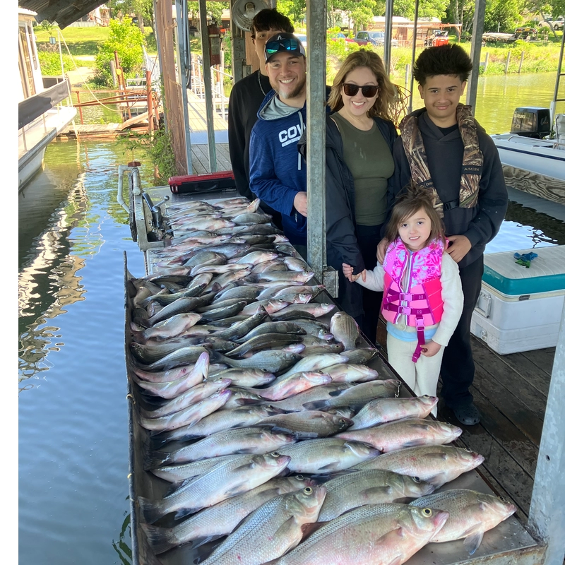 Family with large white bass catch during a spring fishing trip with Bingham Guide Service on Lake Tawakoni in Texas