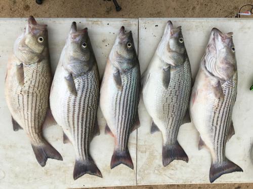 20220404_161815398_iOS