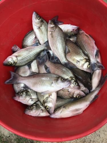 20220509_154917543_iOS