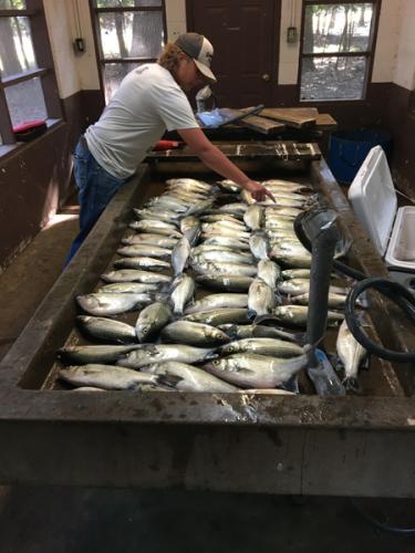 20220618_142819062_iOS